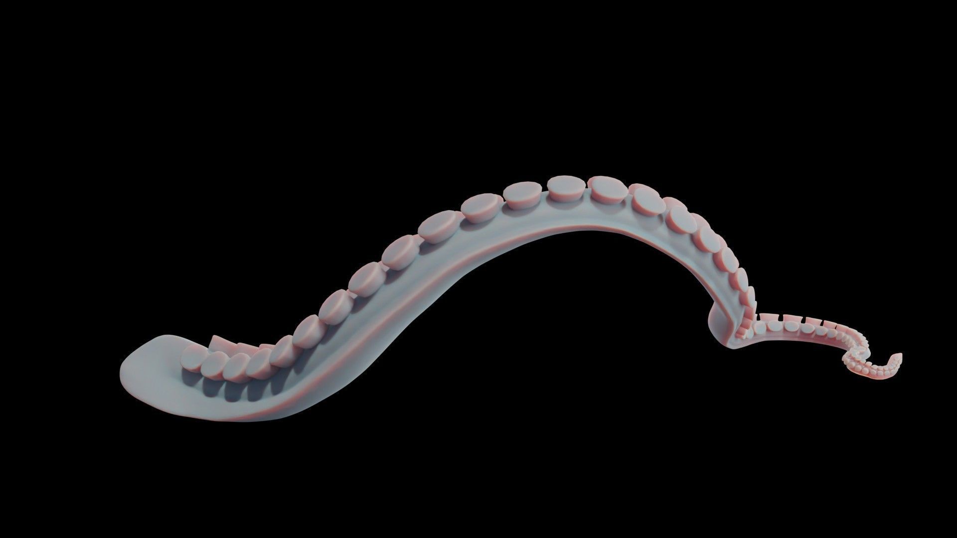 Rigged Tentacle Low-poly 3D model_11