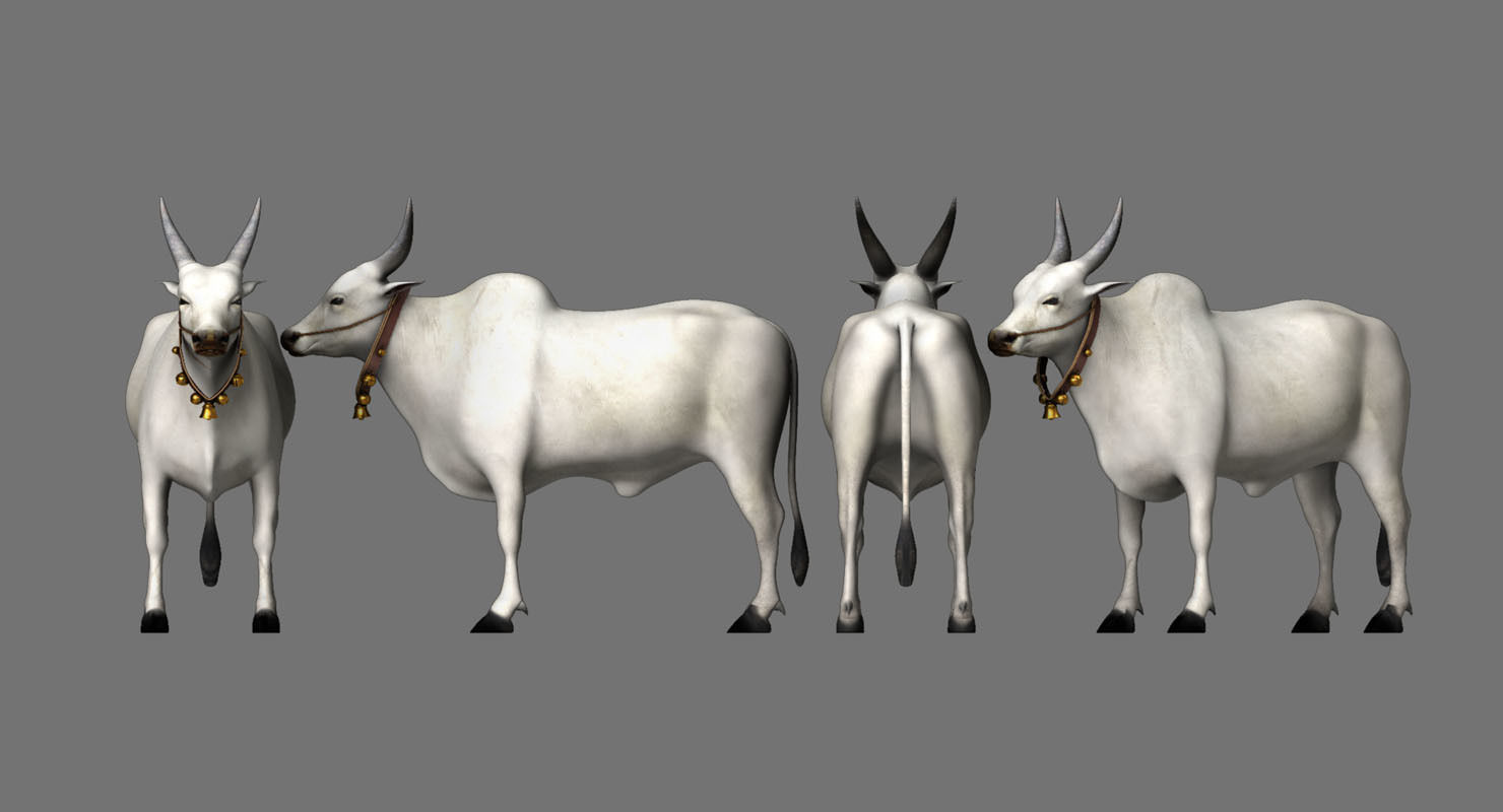 bull 3d model 3D model_2