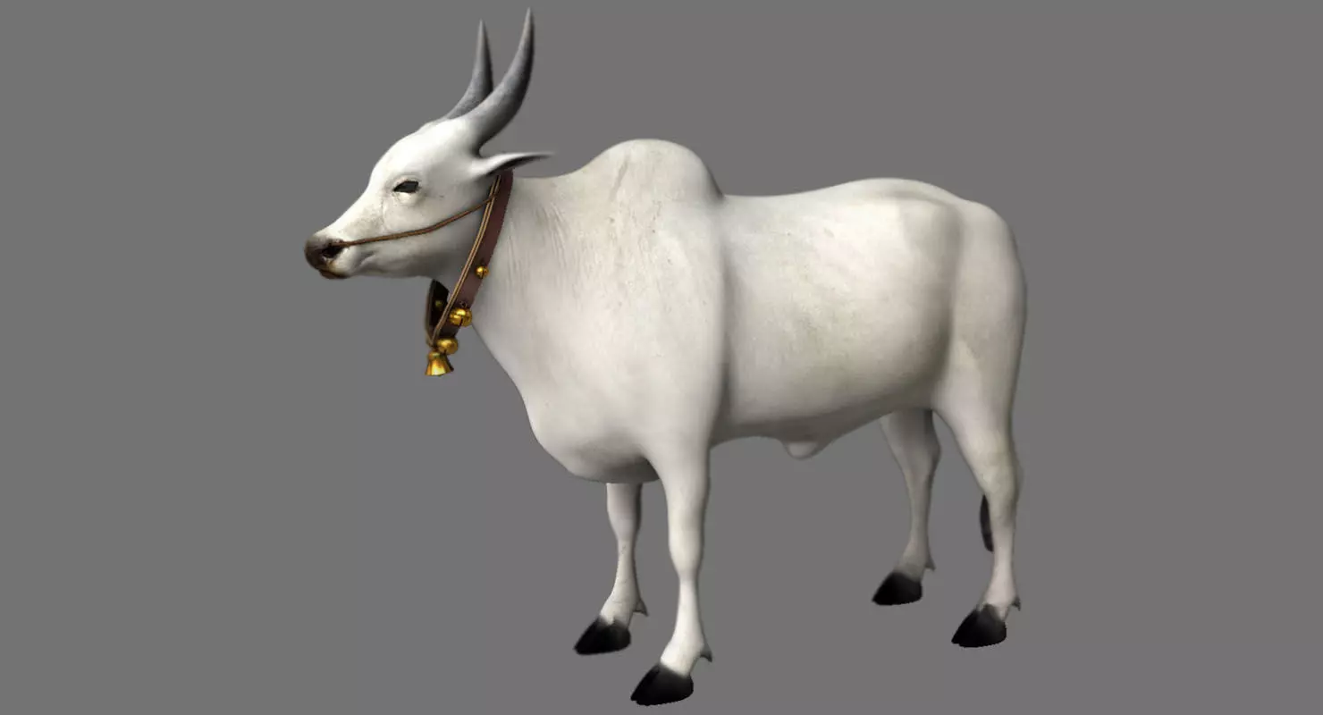 bull 3d model 3D model_0