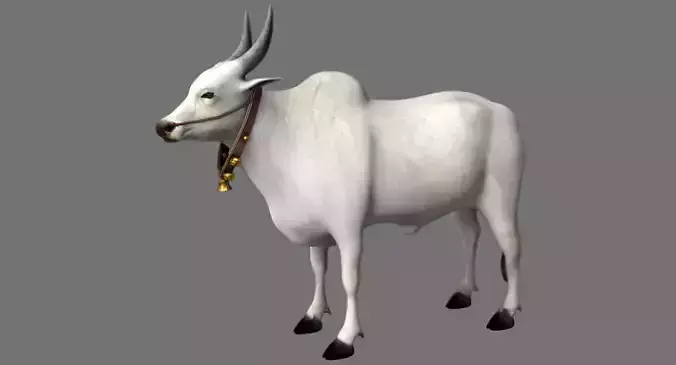 bull 3d model 3D model