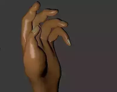3D Hand