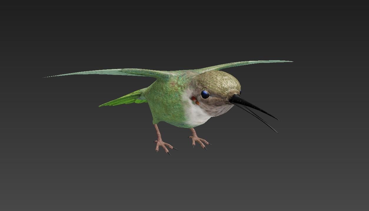 Trochilidae hummingbird Low-poly 3D model_3