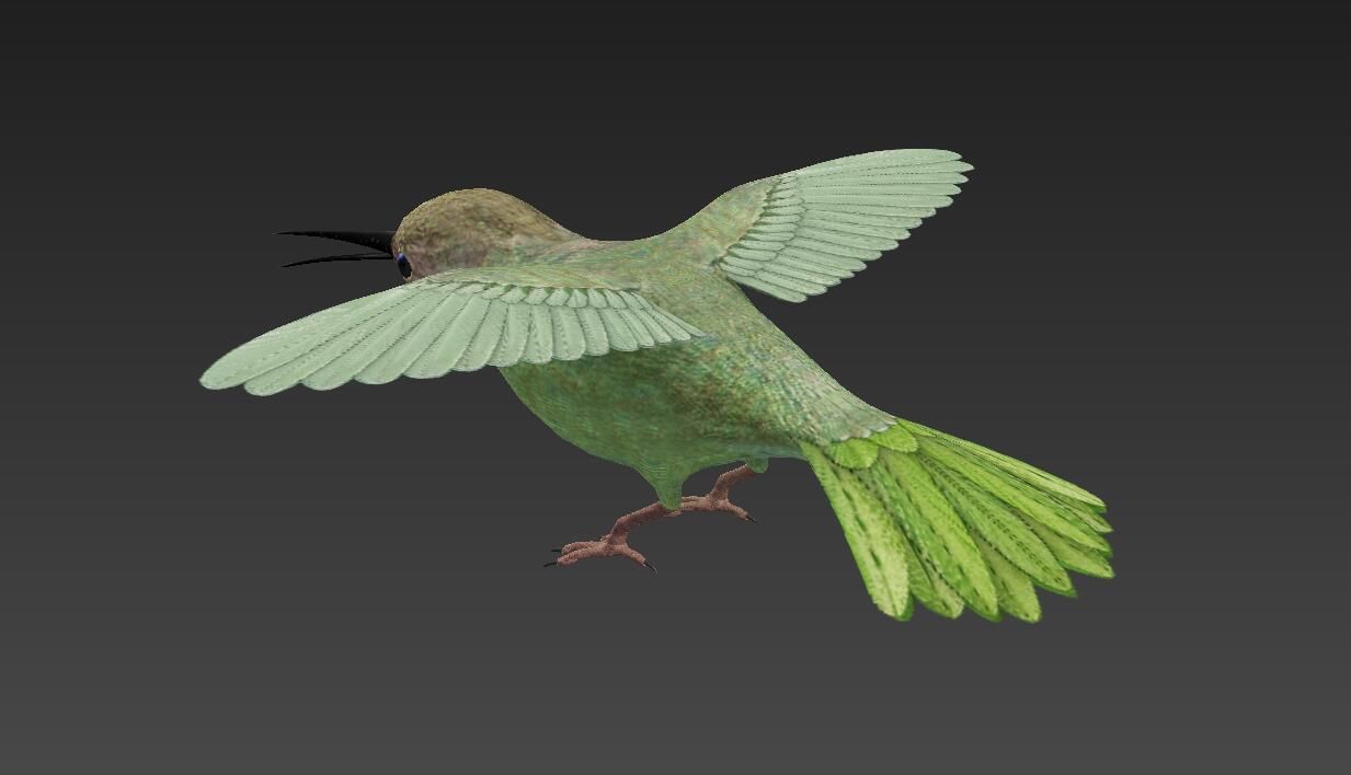 Trochilidae hummingbird Low-poly 3D model_2