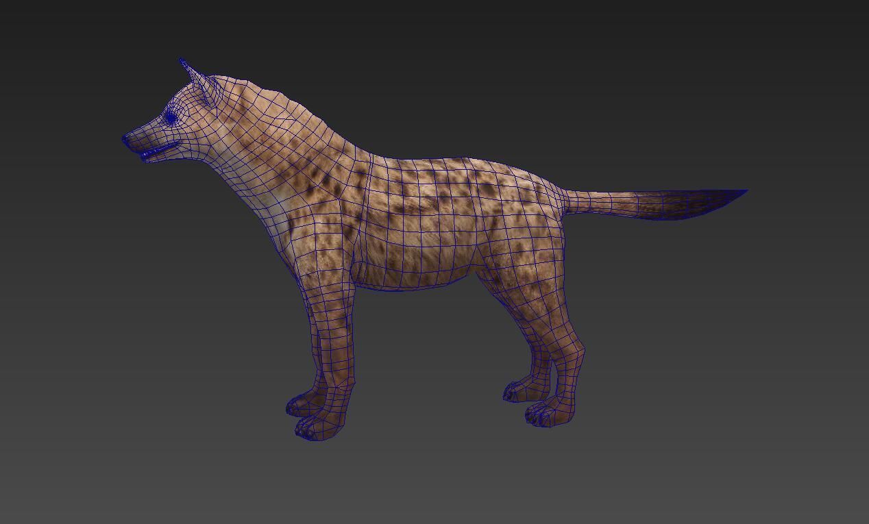 Hyaenidae hyena Low-poly 3D model_3
