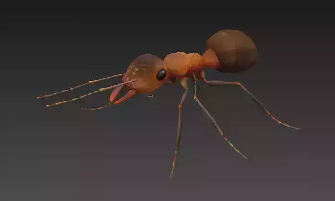 ant 3d