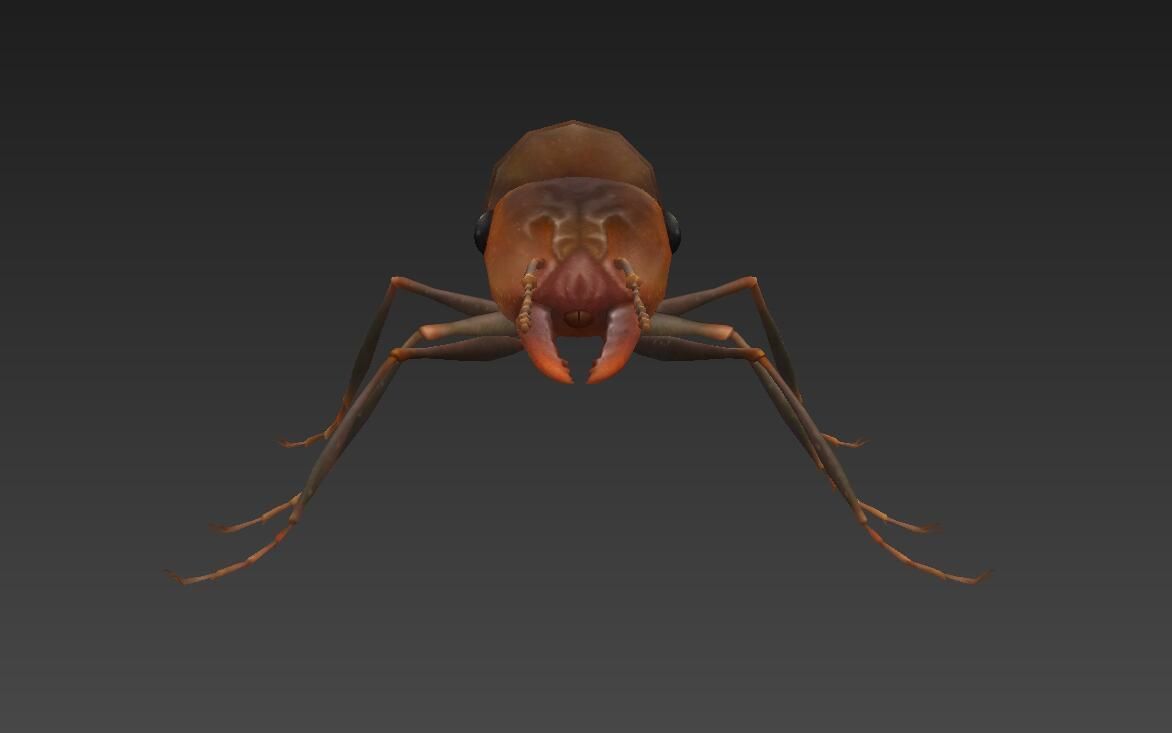ant 3d Low-poly 3D model_3