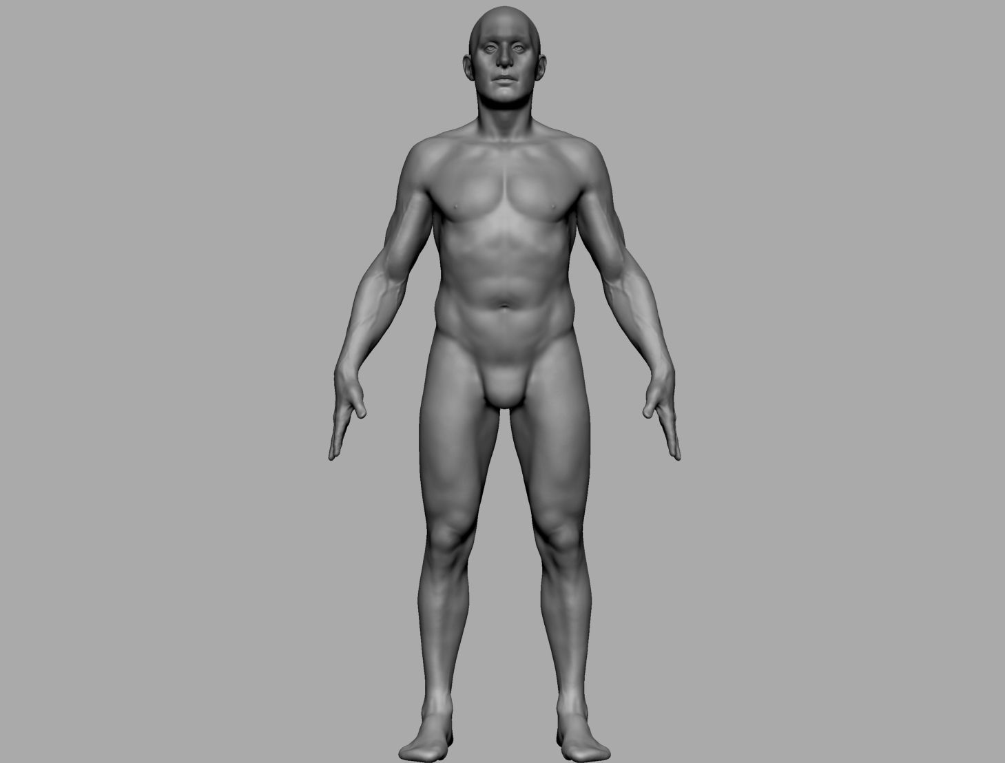 Human Anatomy