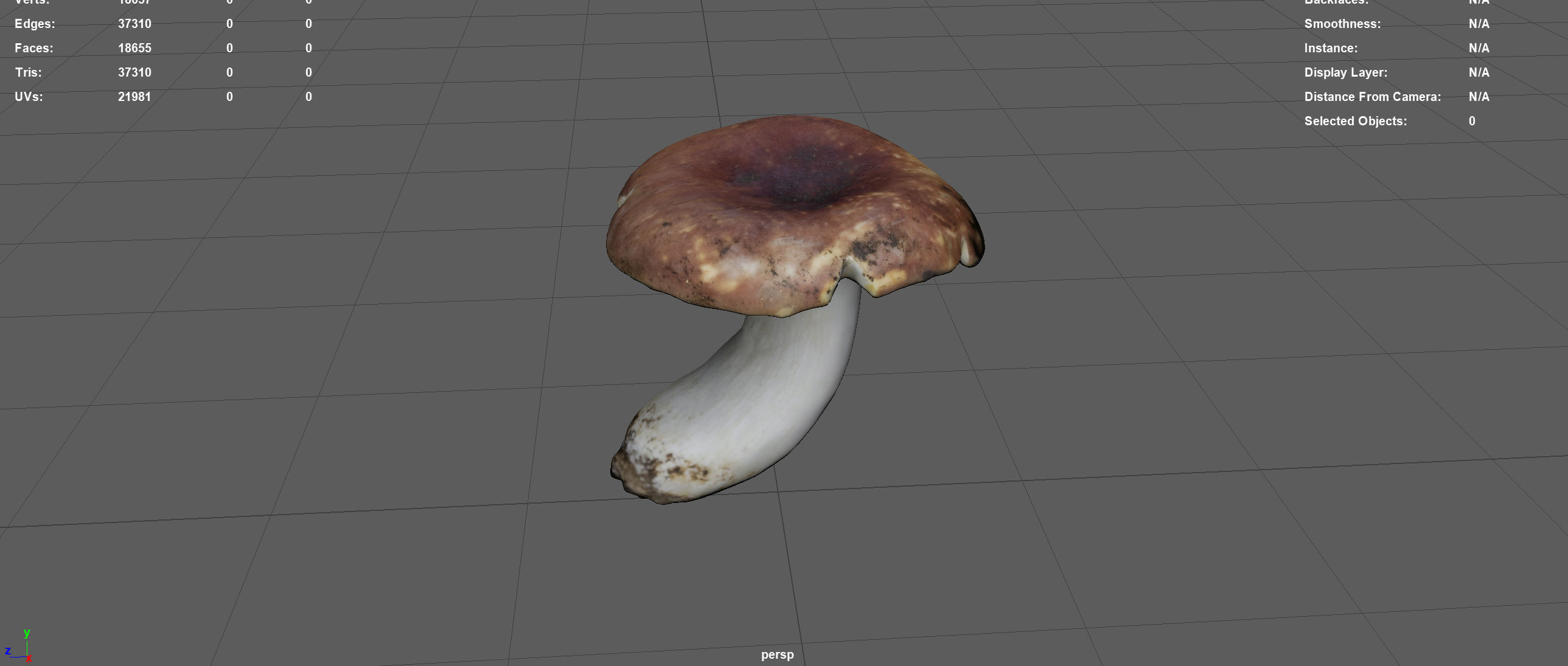 BOLETUS mushroom Low-poly 3D model_3