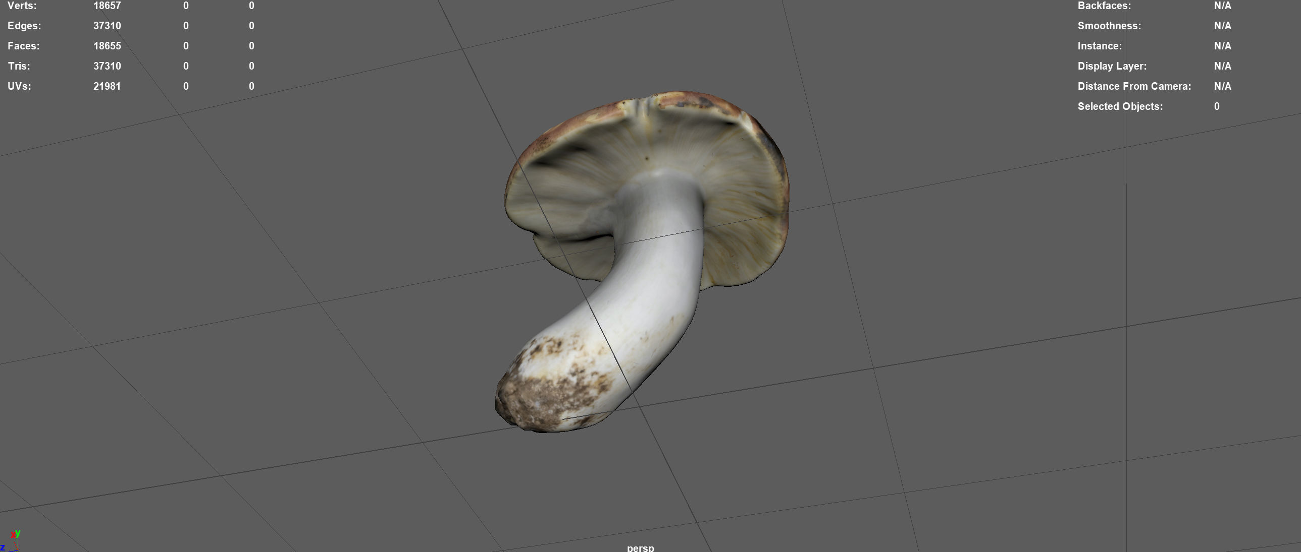 BOLETUS mushroom Low-poly 3D model_4