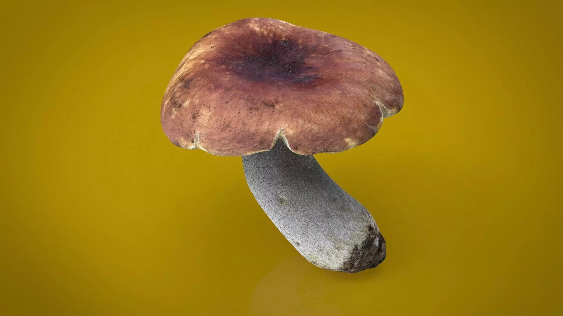 BOLETUS mushroom Low-poly 3D model_0