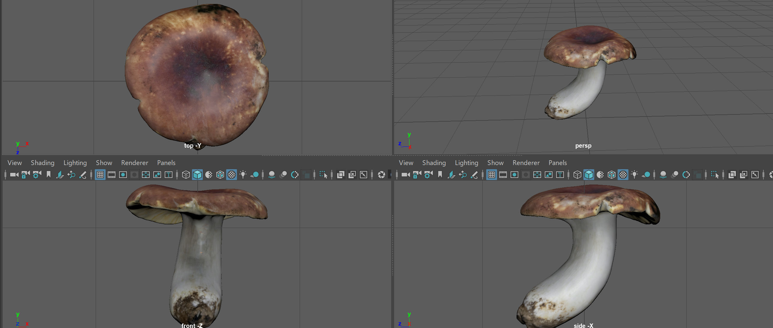 BOLETUS mushroom Low-poly 3D model_7
