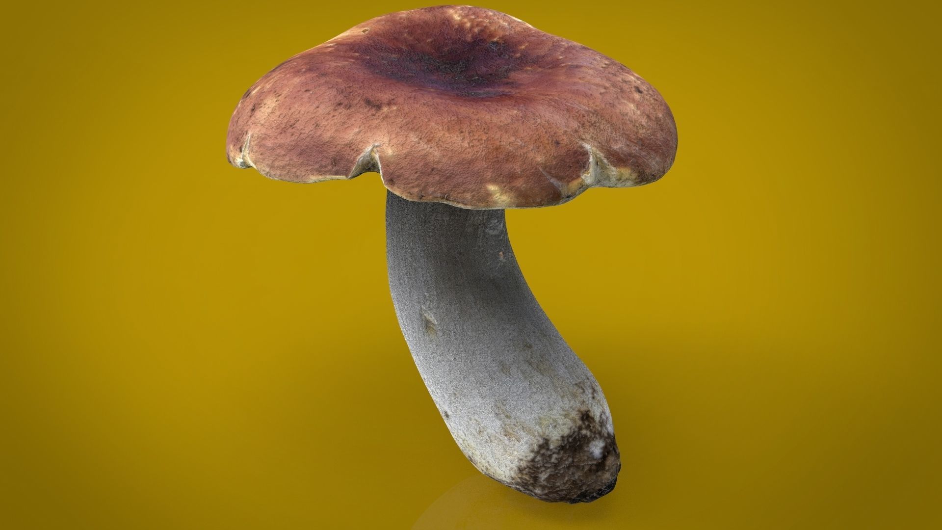 BOLETUS mushroom Low-poly 3D model_1