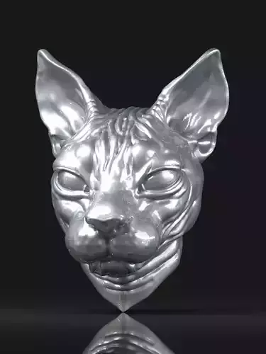 Cat sphynx Head
