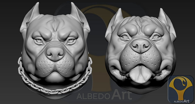 Pitbull Head 3D print model