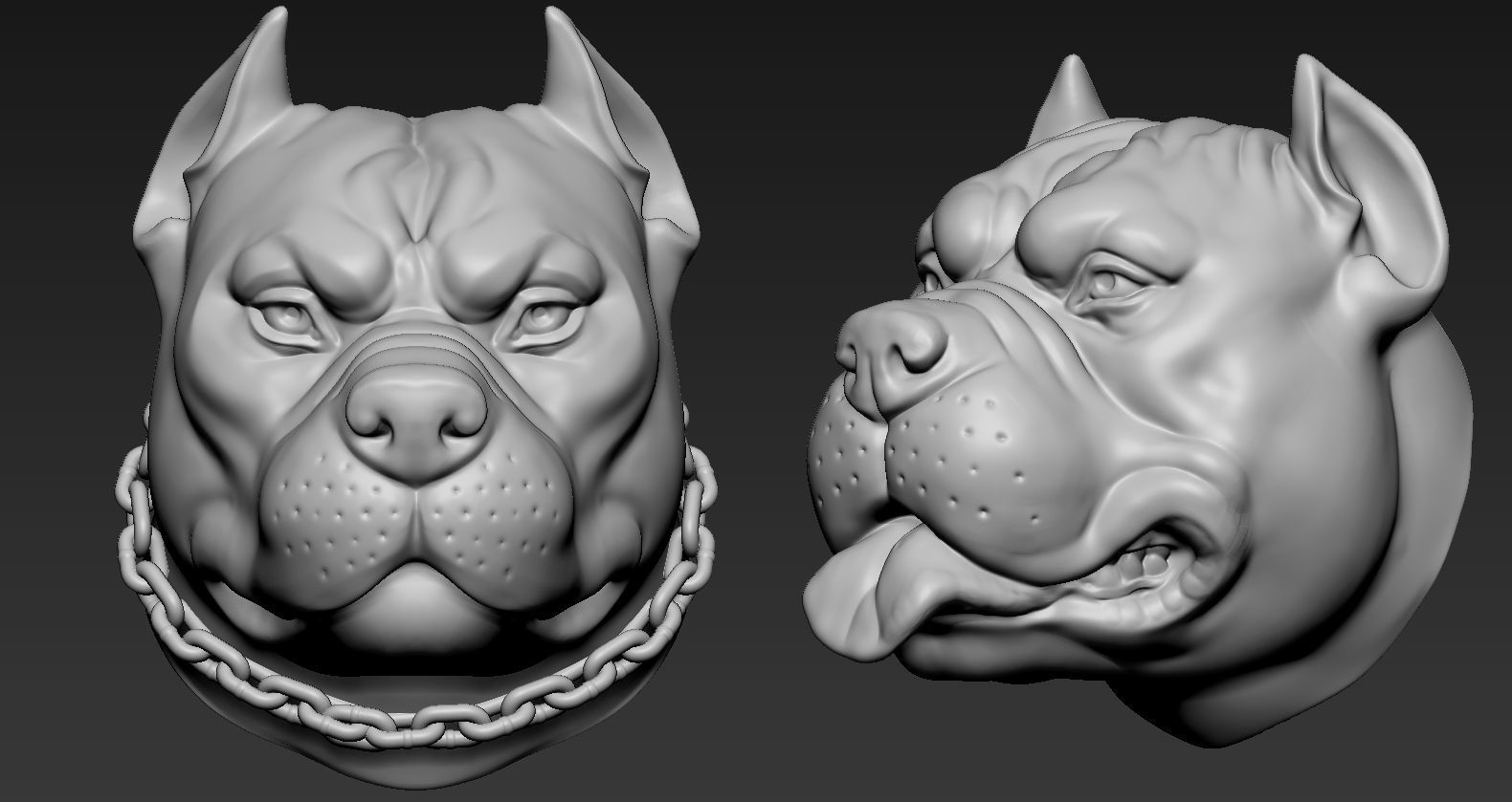 Pitbull Head 3D print model_1