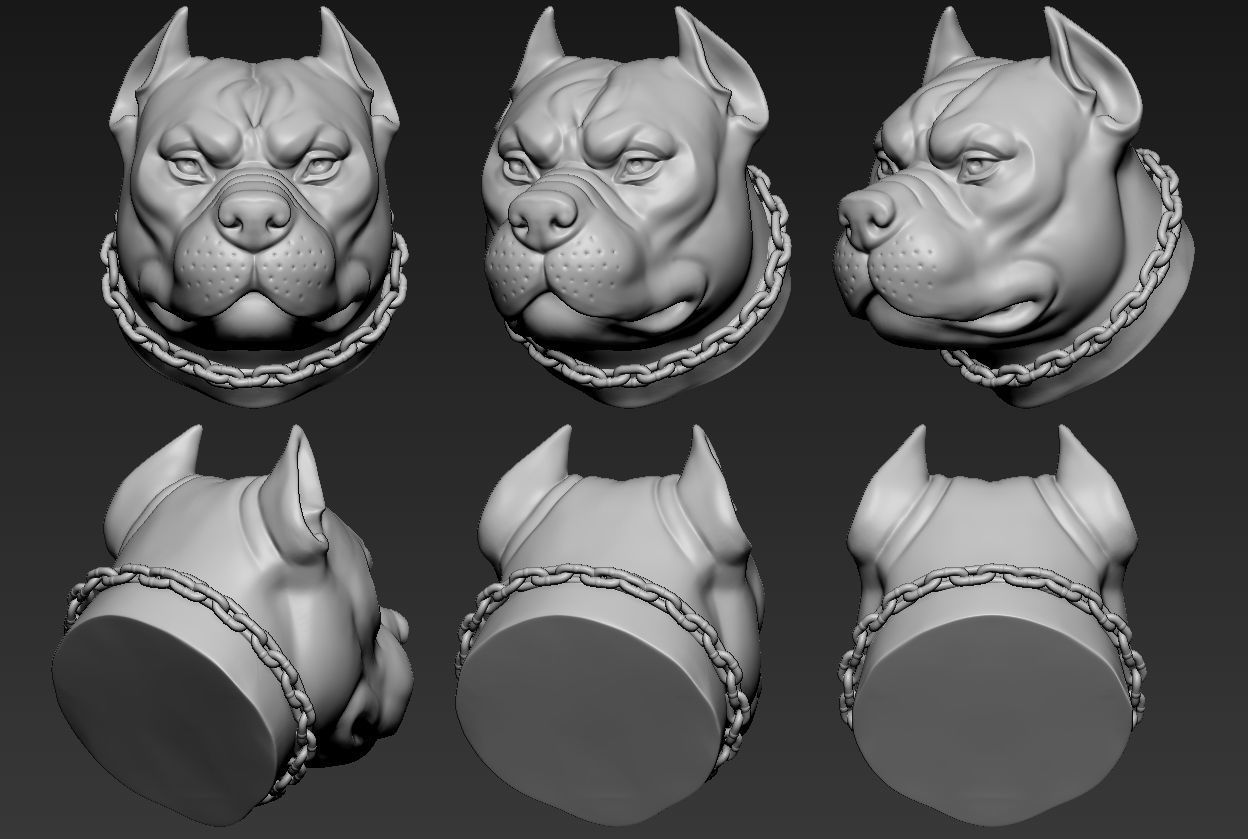 Pitbull Head 3D print model_5