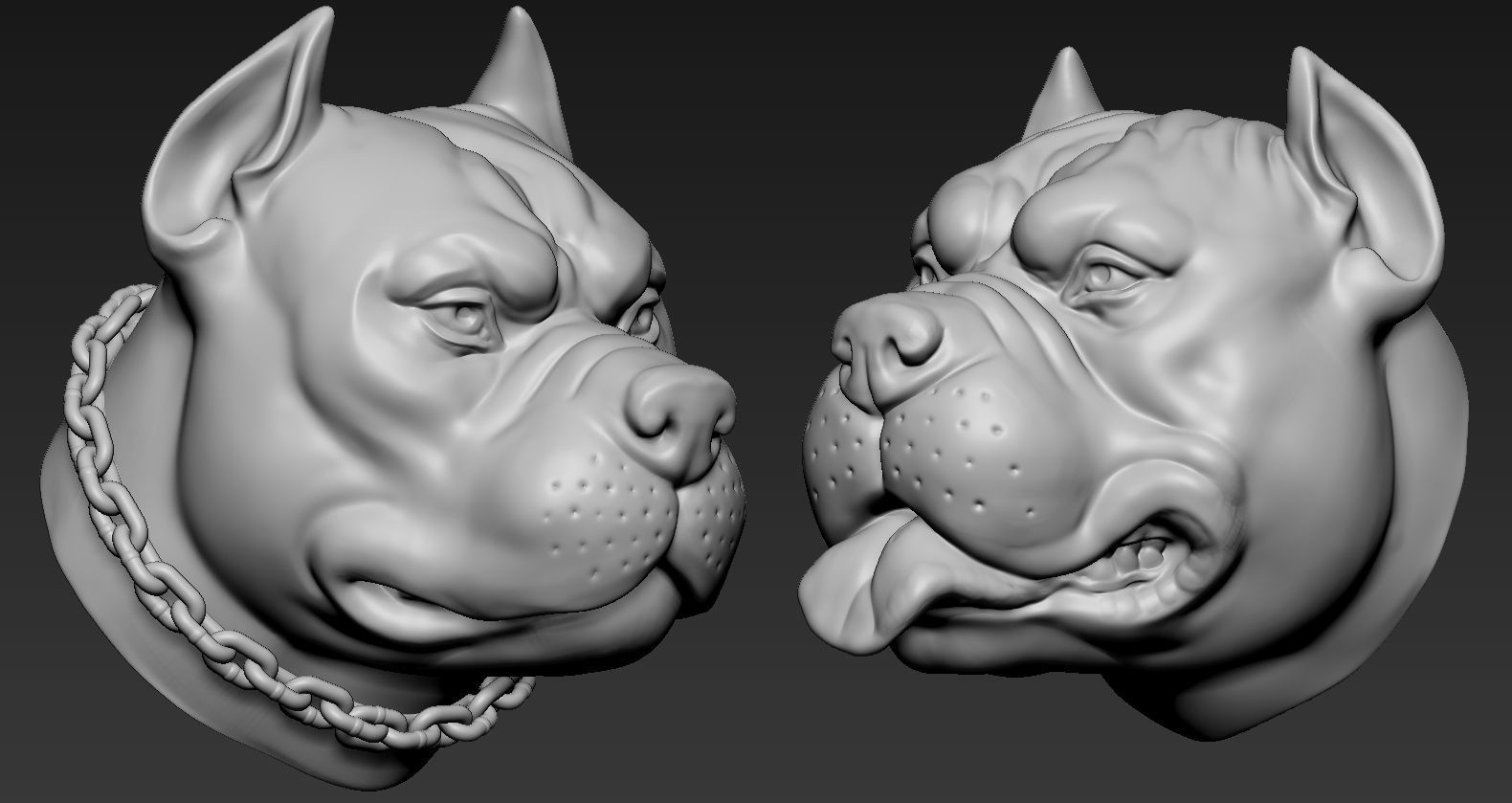 Pitbull Head 3D print model_2