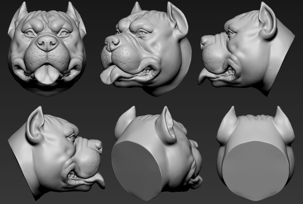 Pitbull Head 3D print model_6