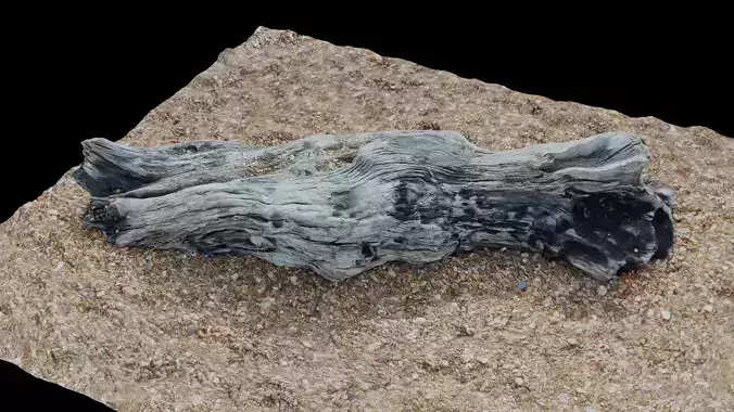Ultra realistic wooden log on pebbles 8k HD Low-poly 3D model