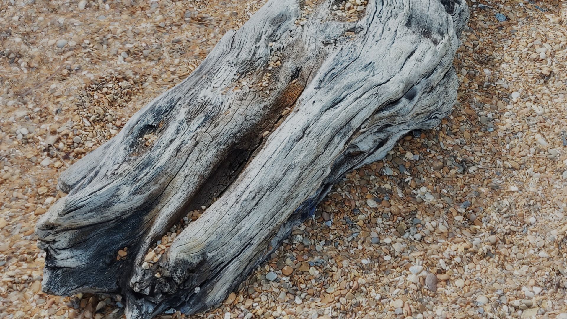 Ultra realistic wooden log on pebbles 8k HD Low-poly 3D model_7