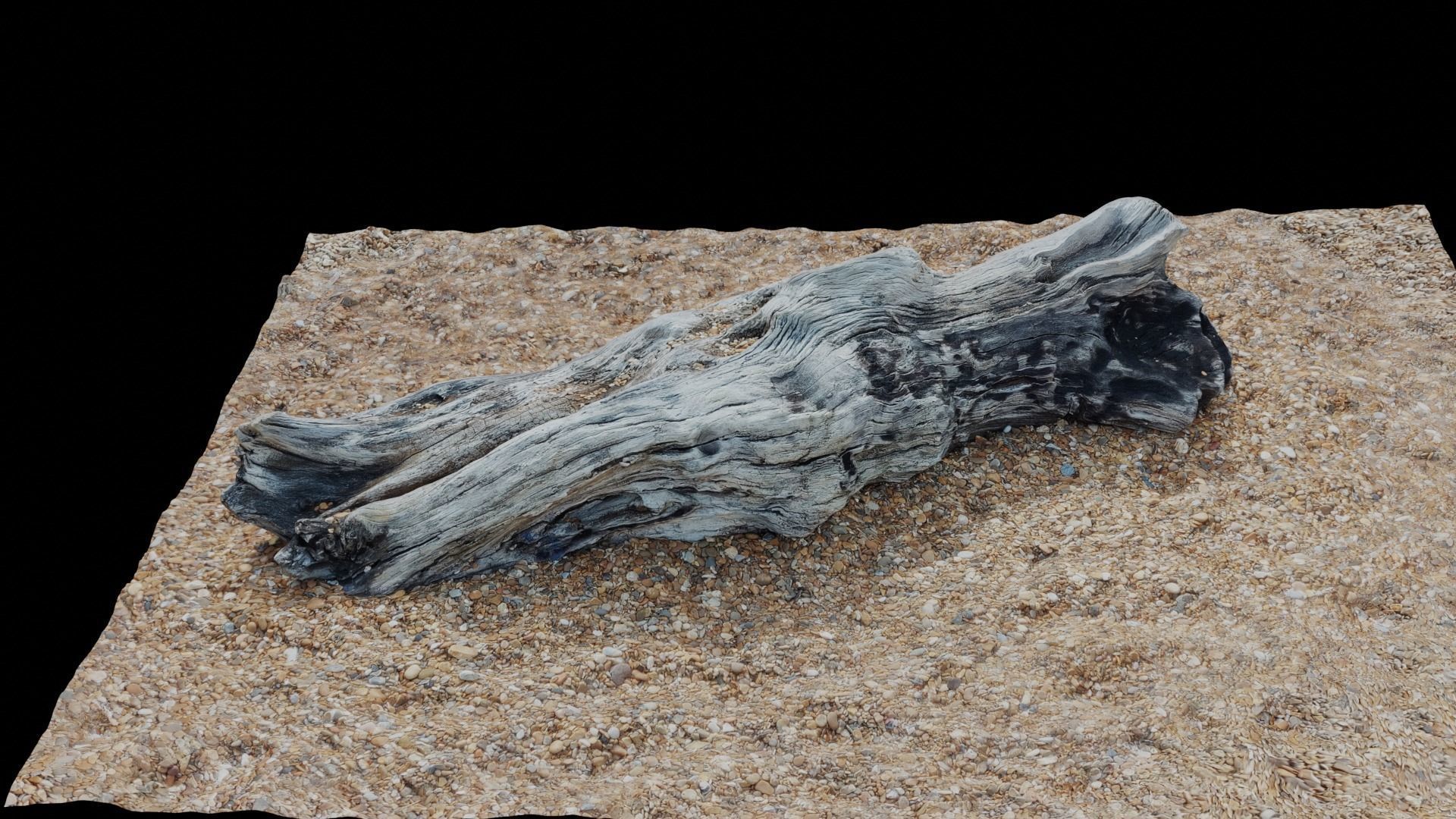 Ultra realistic wooden log on pebbles 8k HD Low-poly 3D model_5