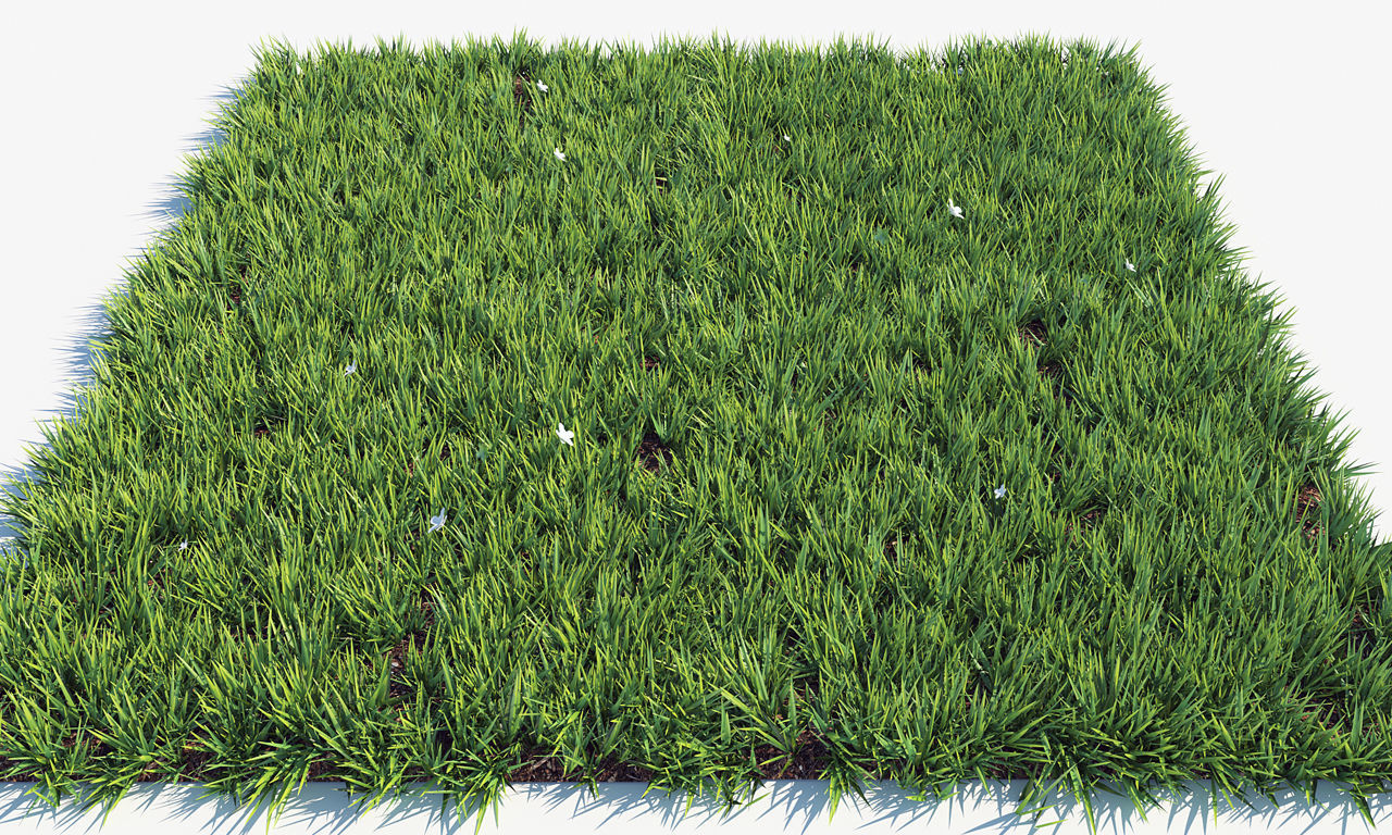 Grass 3 texture 3D model_1