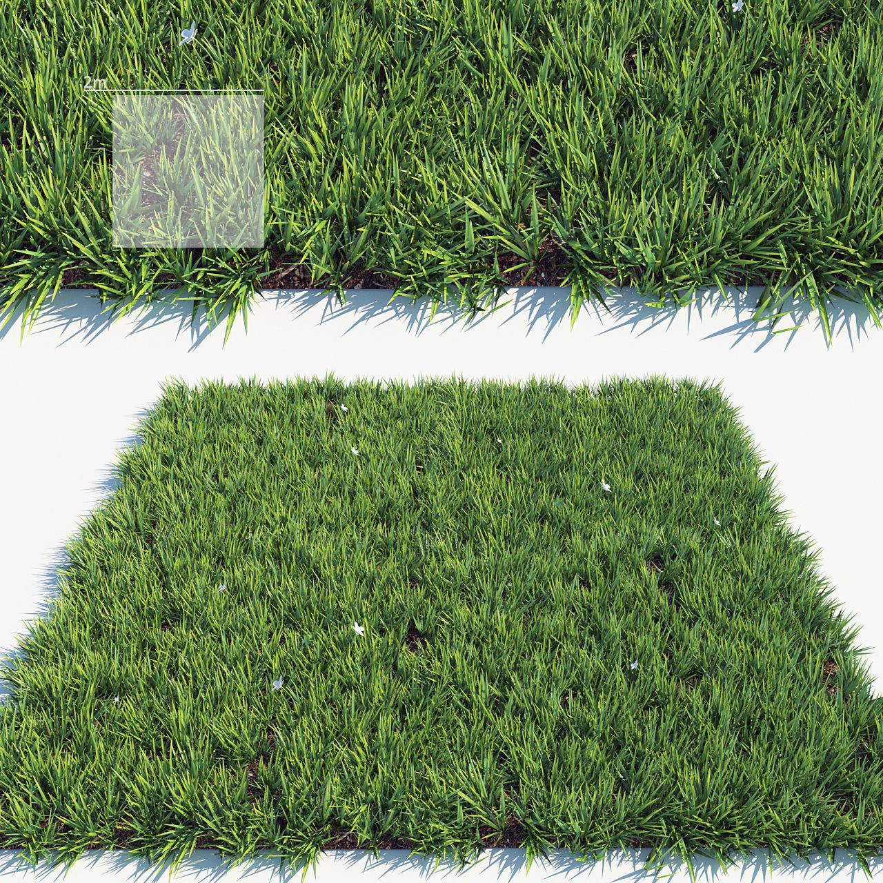 Grass 3 3D model