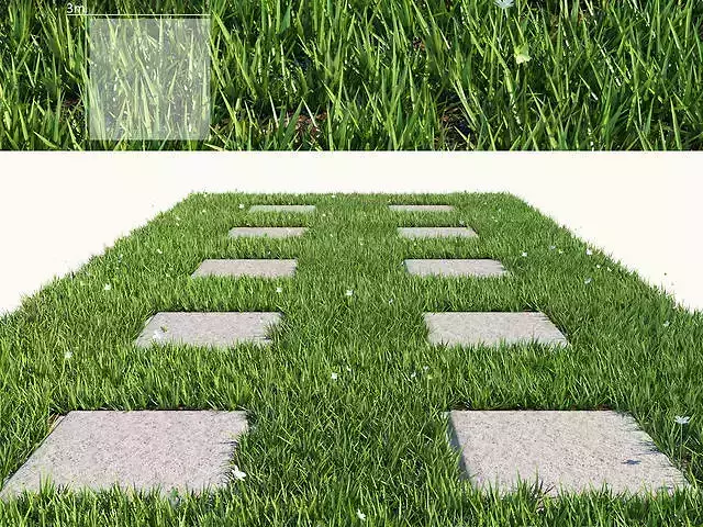 Grass 4 floor with squares