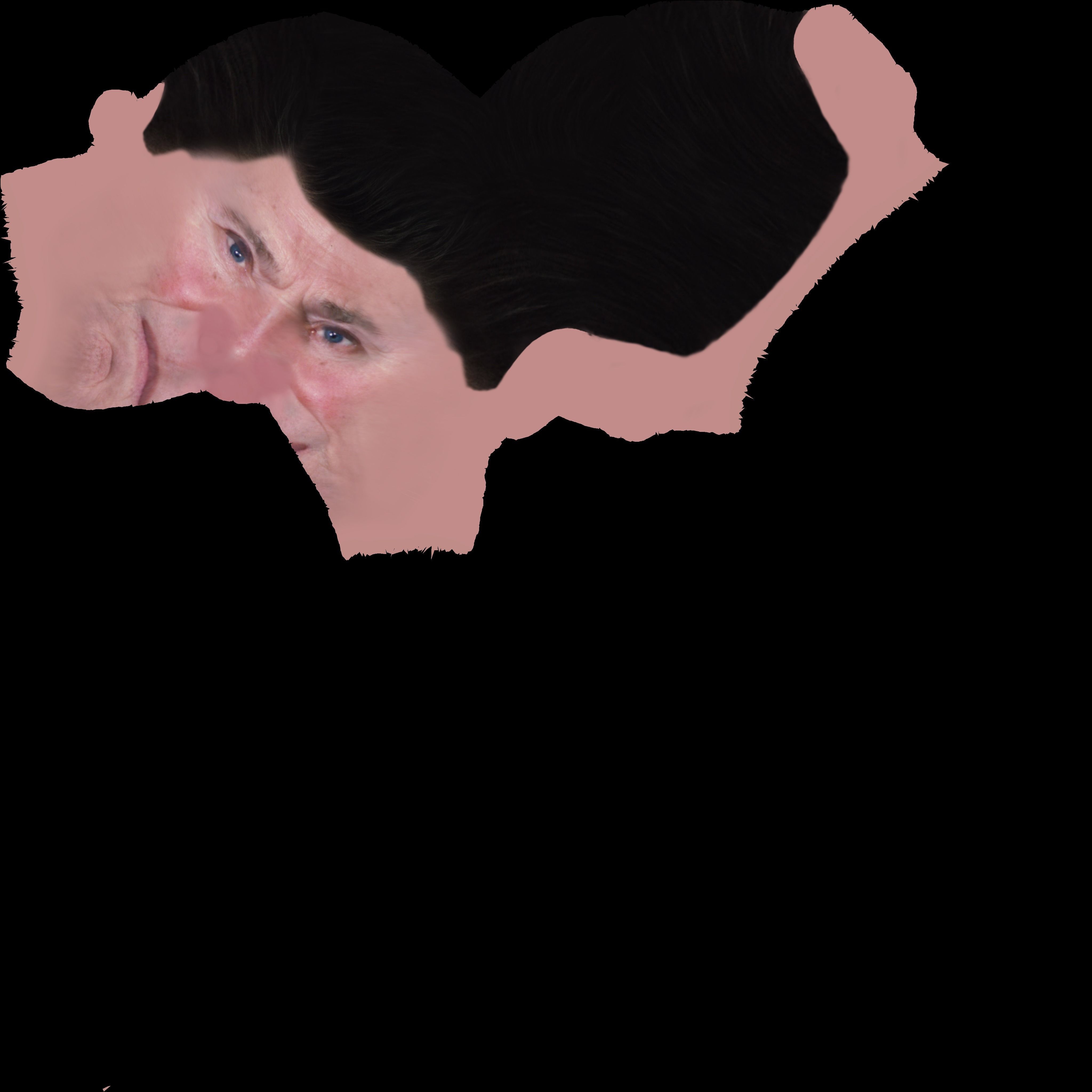 Ronald Reagan 3D model_26