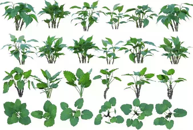 74 Cutout Plants Collection 