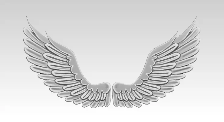 Relief Wings 3D print model_0