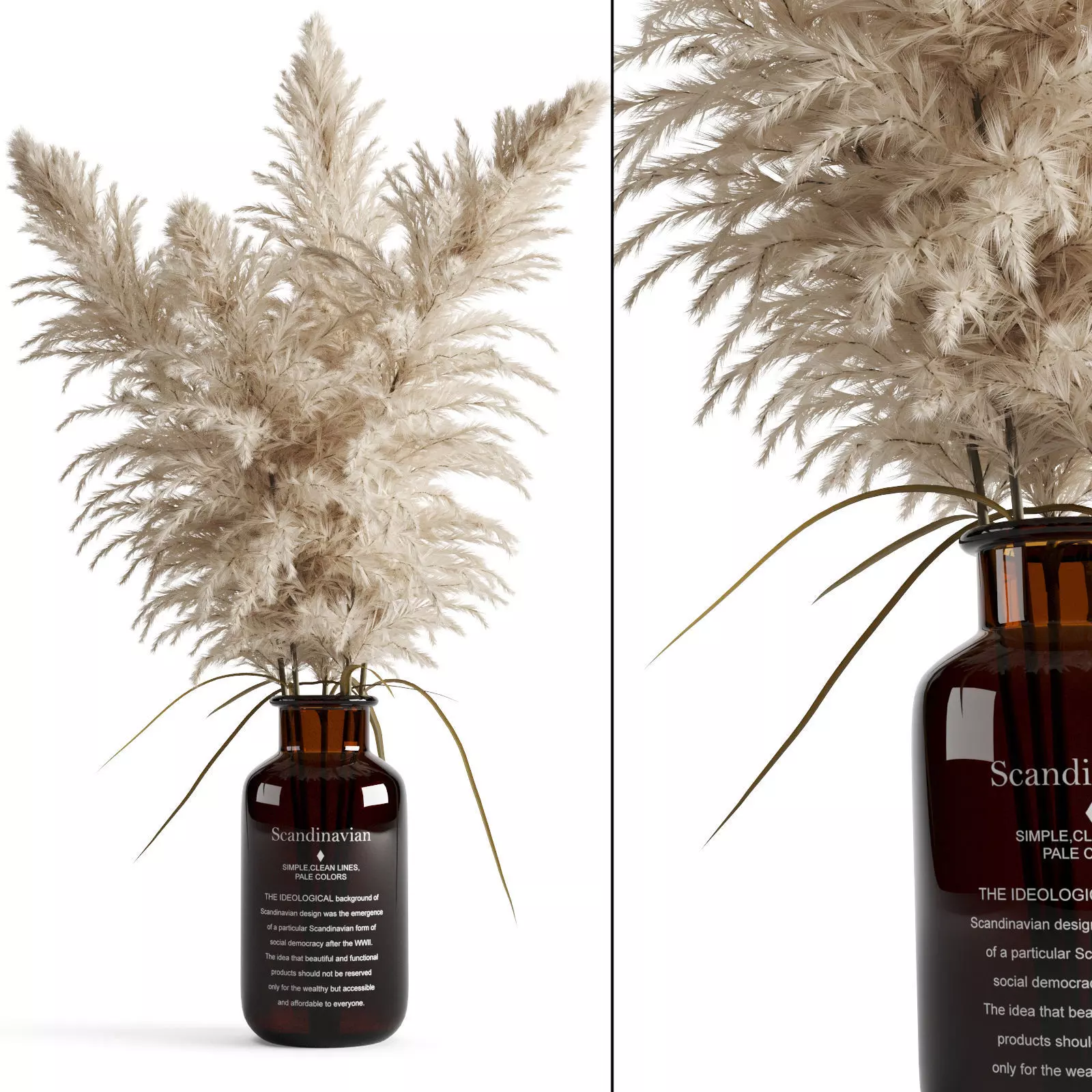 Cortaderia Selloana In Amber Glass Vase 3D model