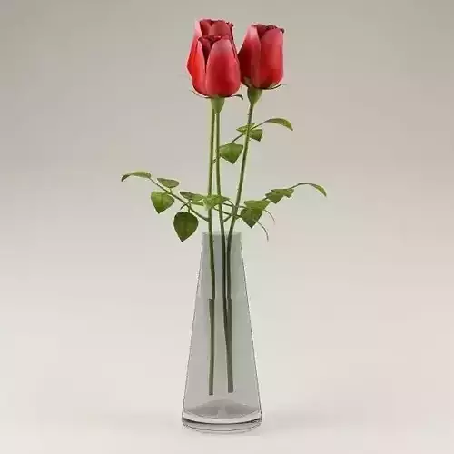 Ornamental plant 17 roses 