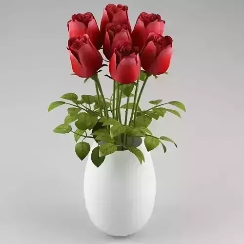 Ornamental plant 18 roses