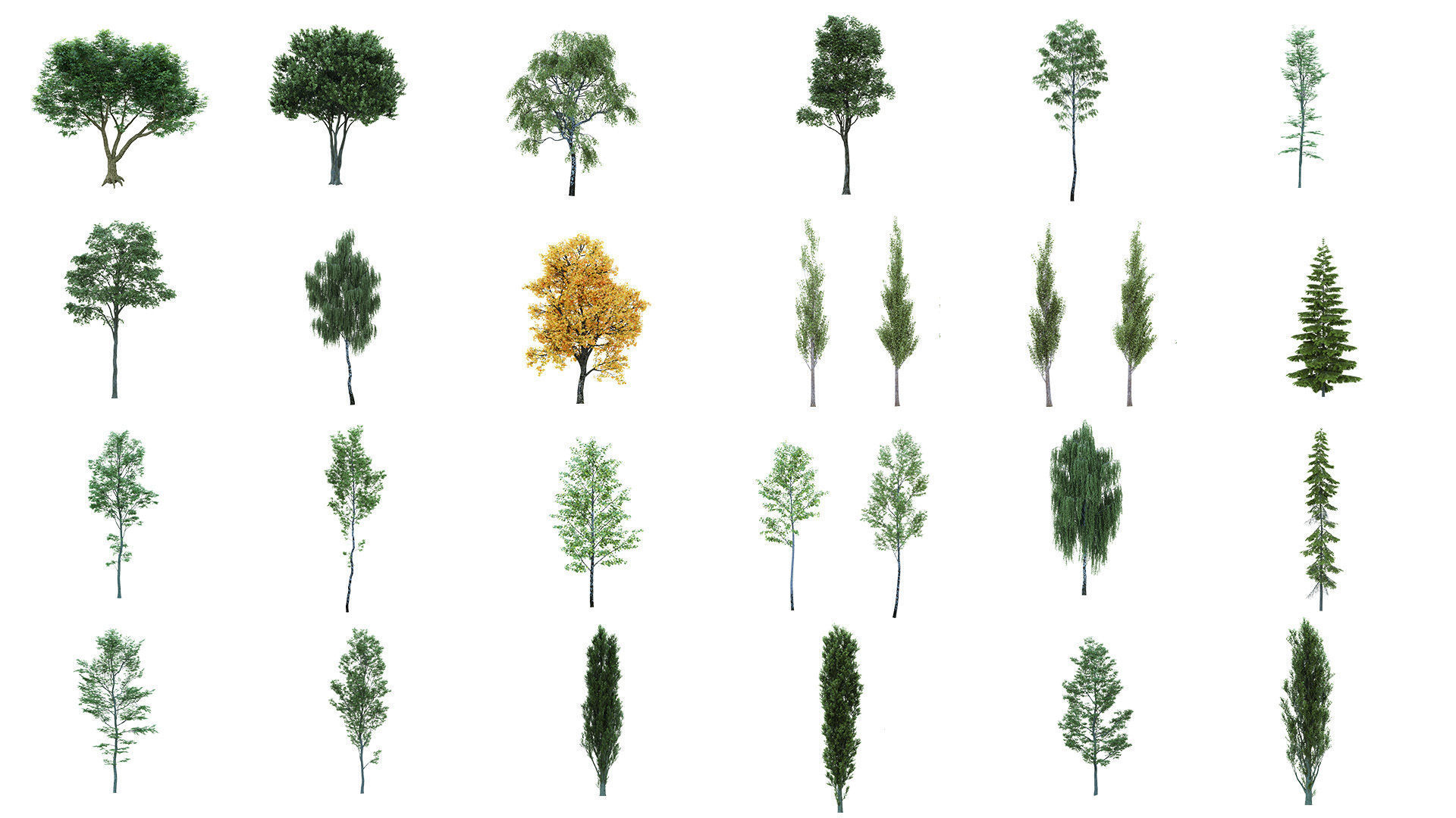 75 Cutout Trees Collection  Texture_2