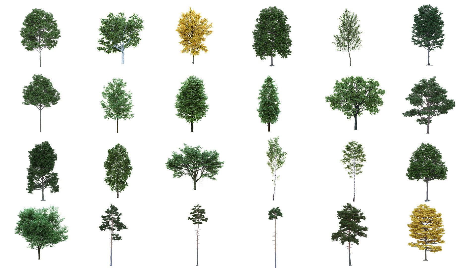 75 Cutout Trees Collection  Texture_1