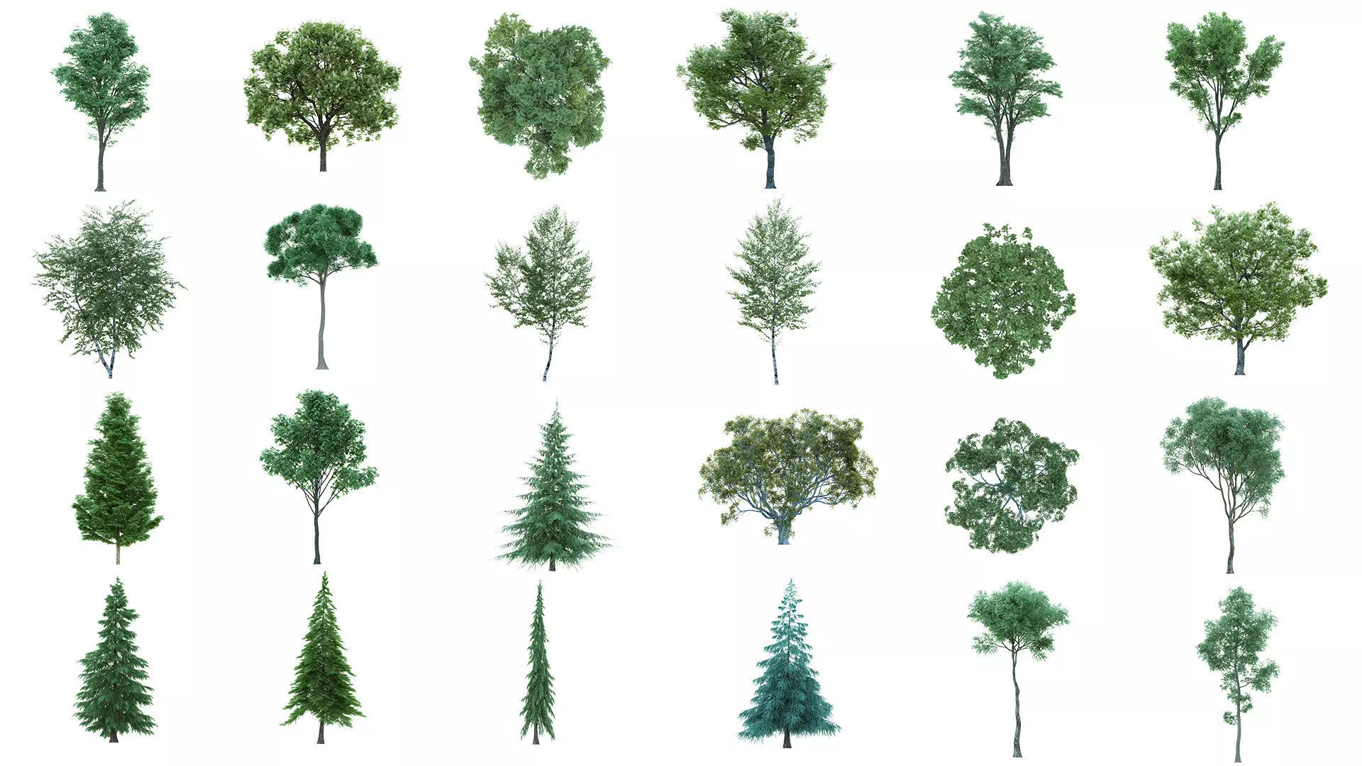 75 Cutout Trees Collection  Texture_0