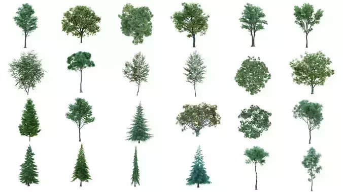 75 Cutout Trees Collection  Texture