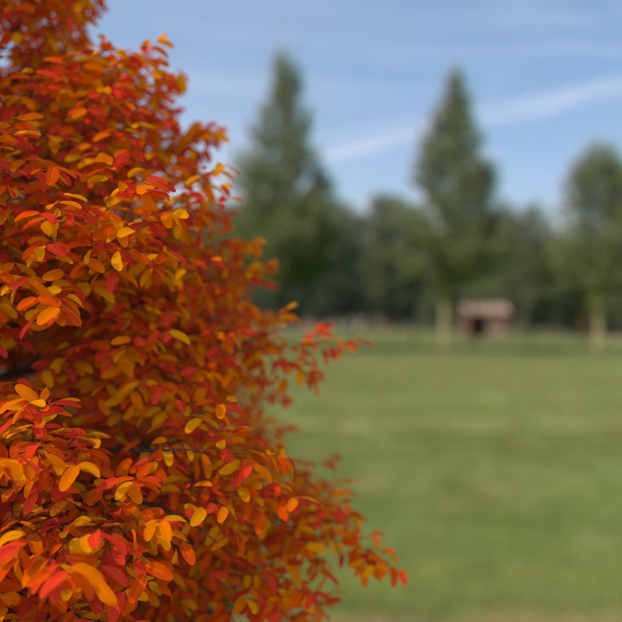 Black Tupelo Tree No 2 3D model_2