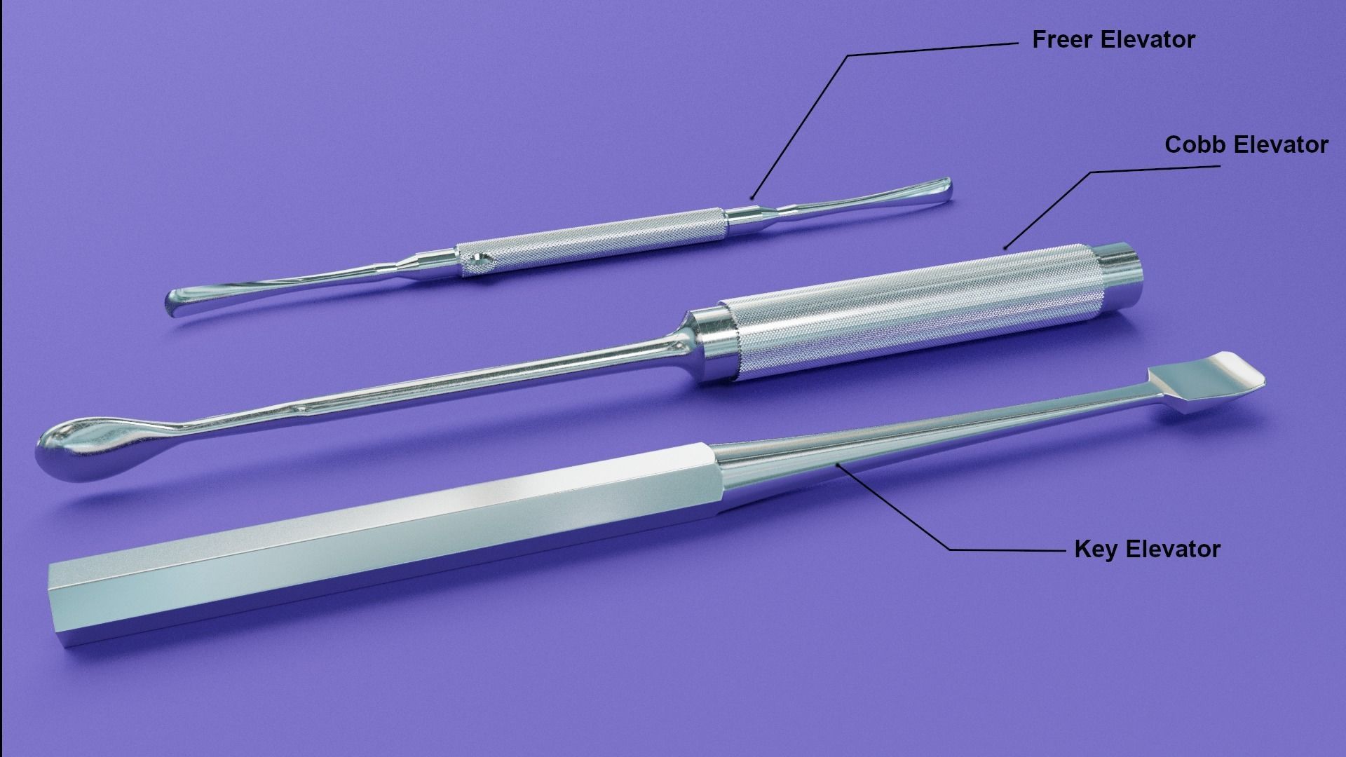  Surgical Elevators  3D model_1