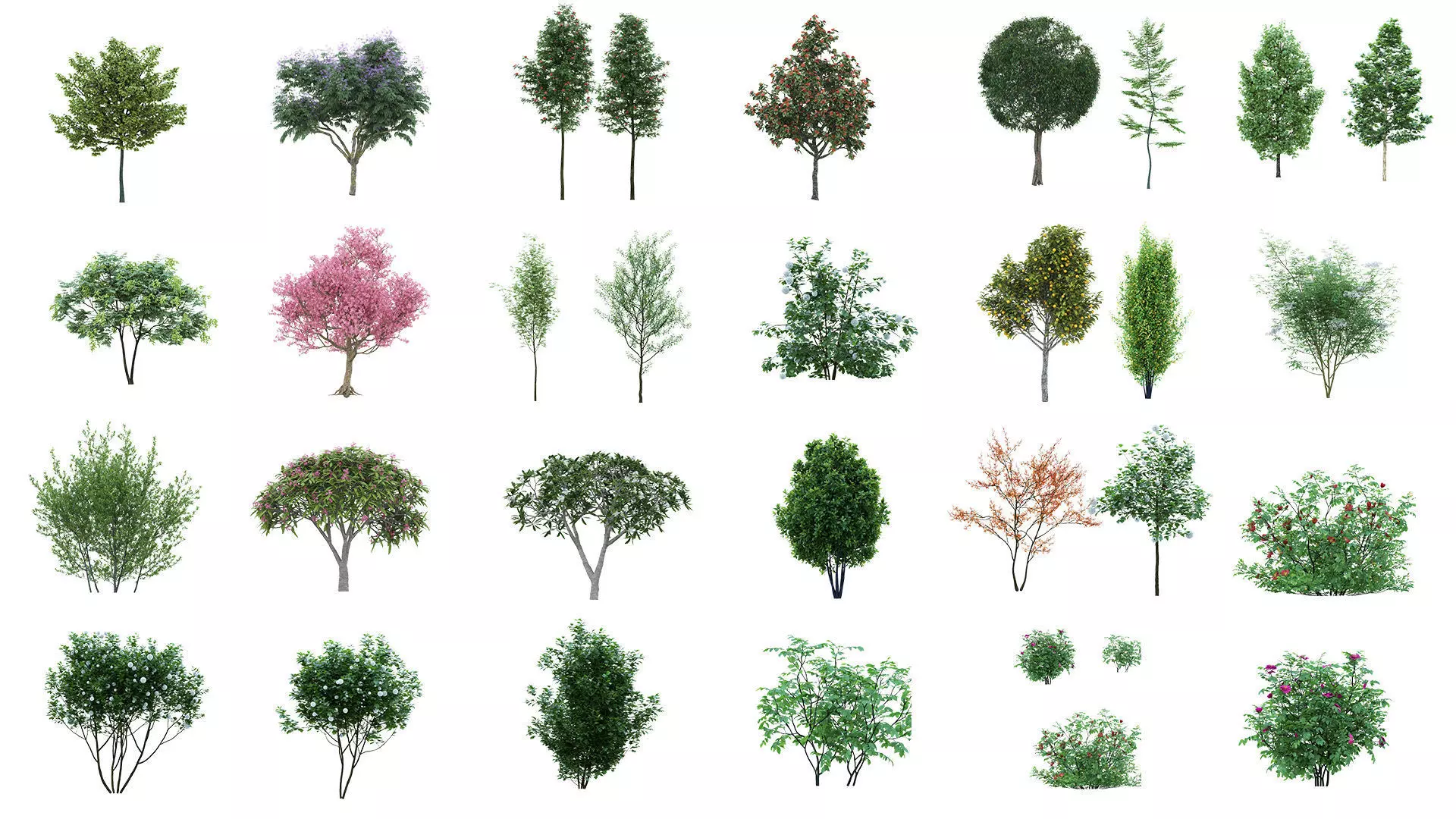 60 Cutout Trees Collection Texture