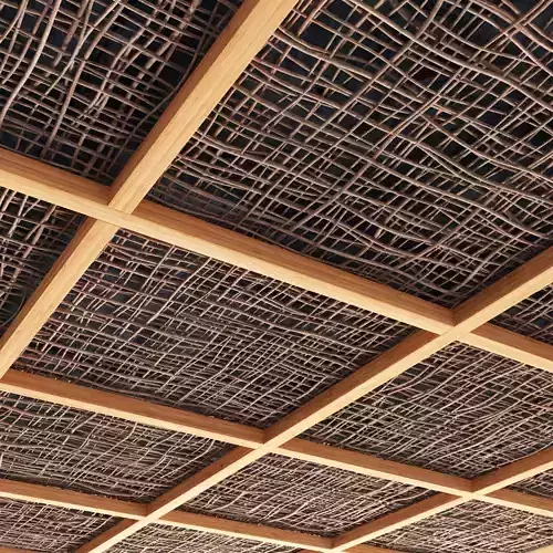 Branch dry long ceiling n5