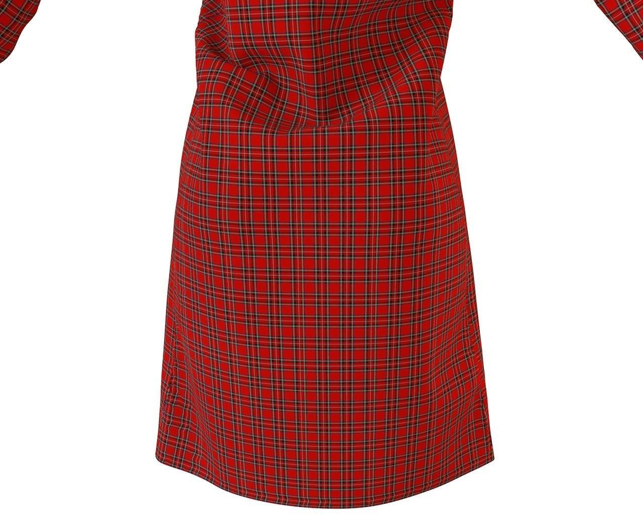 Stylish Designer Women Shirt Dress 3D model 3D model_4