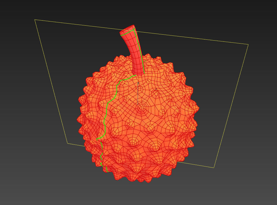Durian fruit 3D model_19