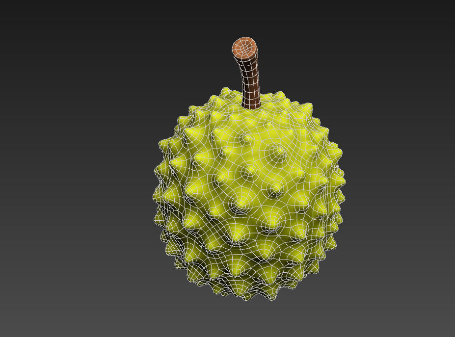 Durian fruit 3D model_18