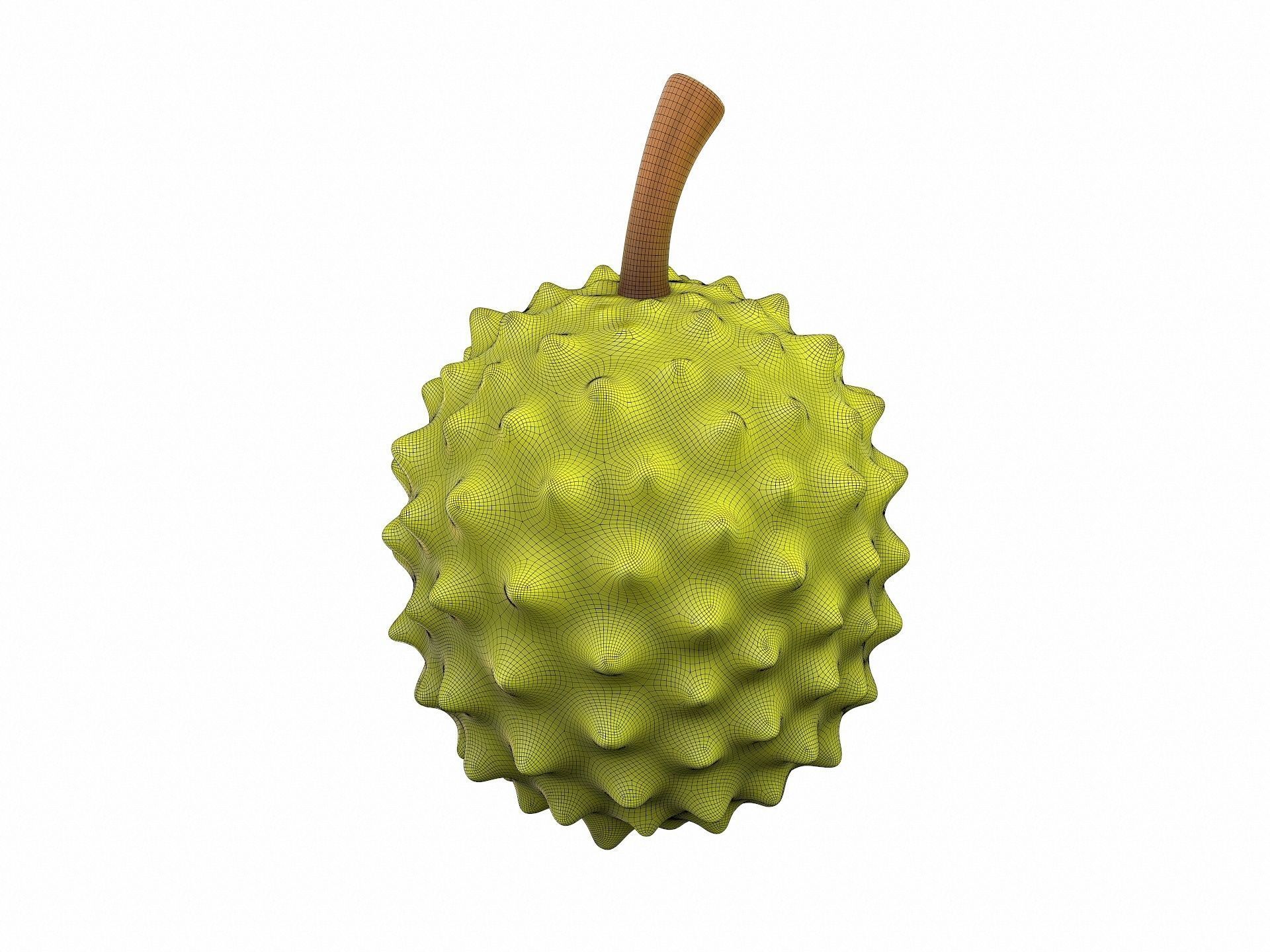 Durian fruit 3D model_7