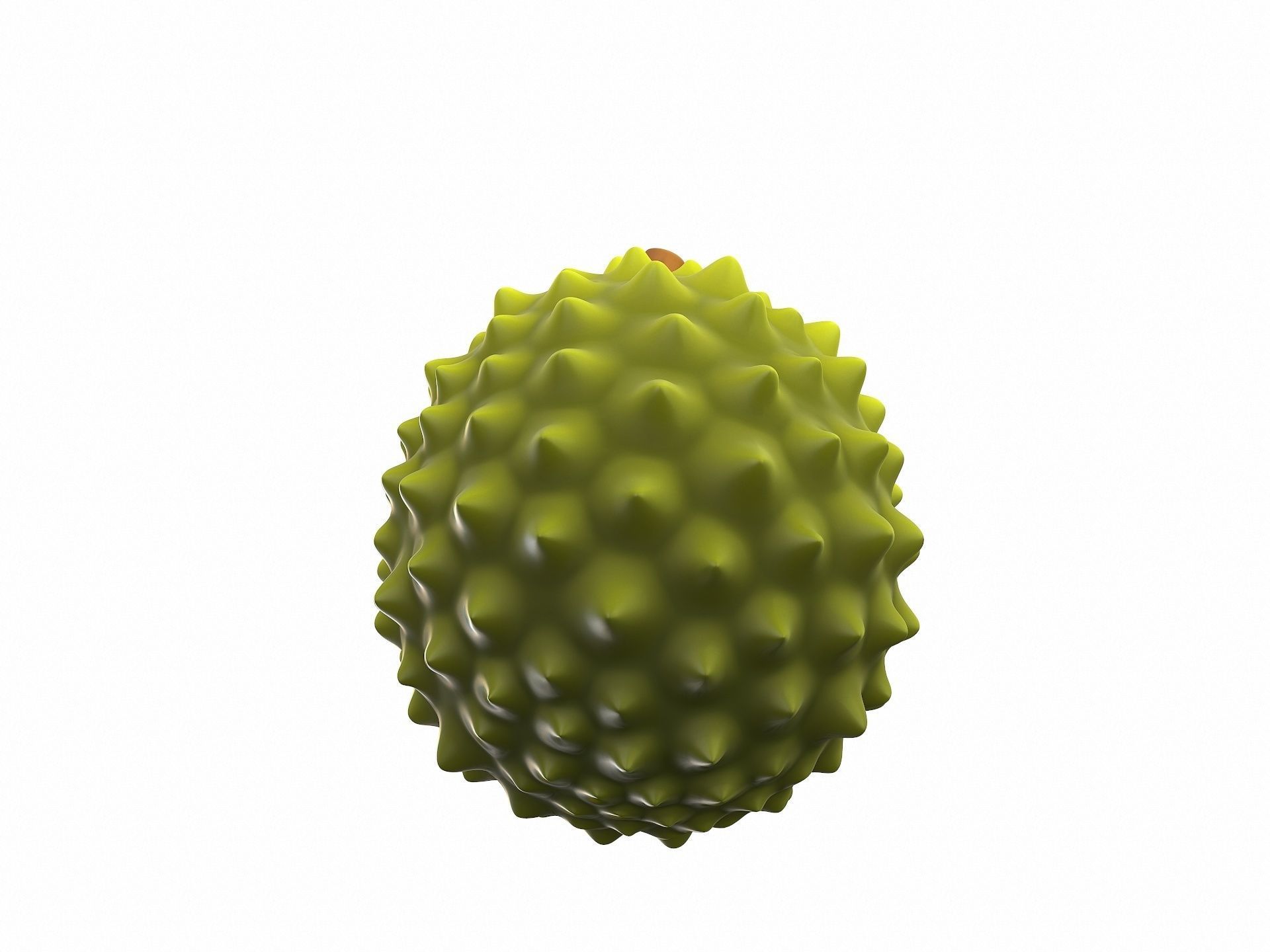 Durian fruit 3D model_4