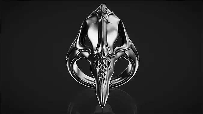 Biomechanical Skull Ring Plague Doctor 3D print model
