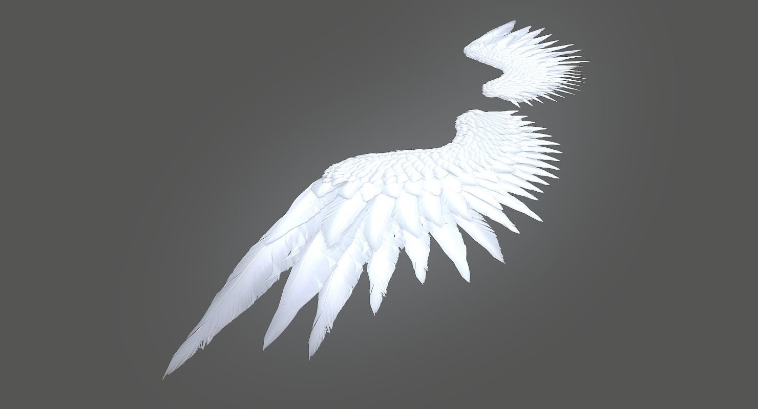 Angel Wings Low-poly 3D model_2