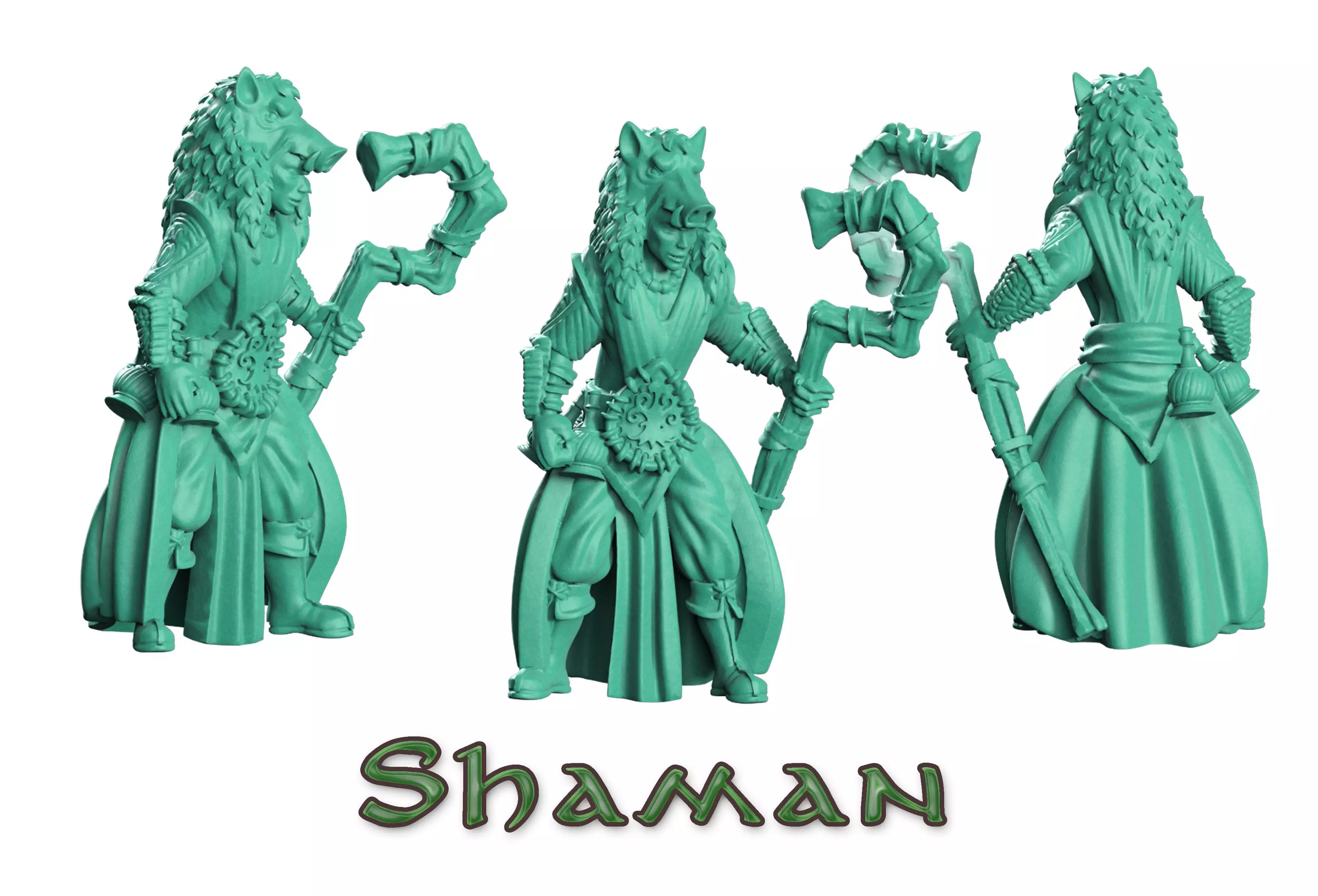Shaman druid 3D print model_0